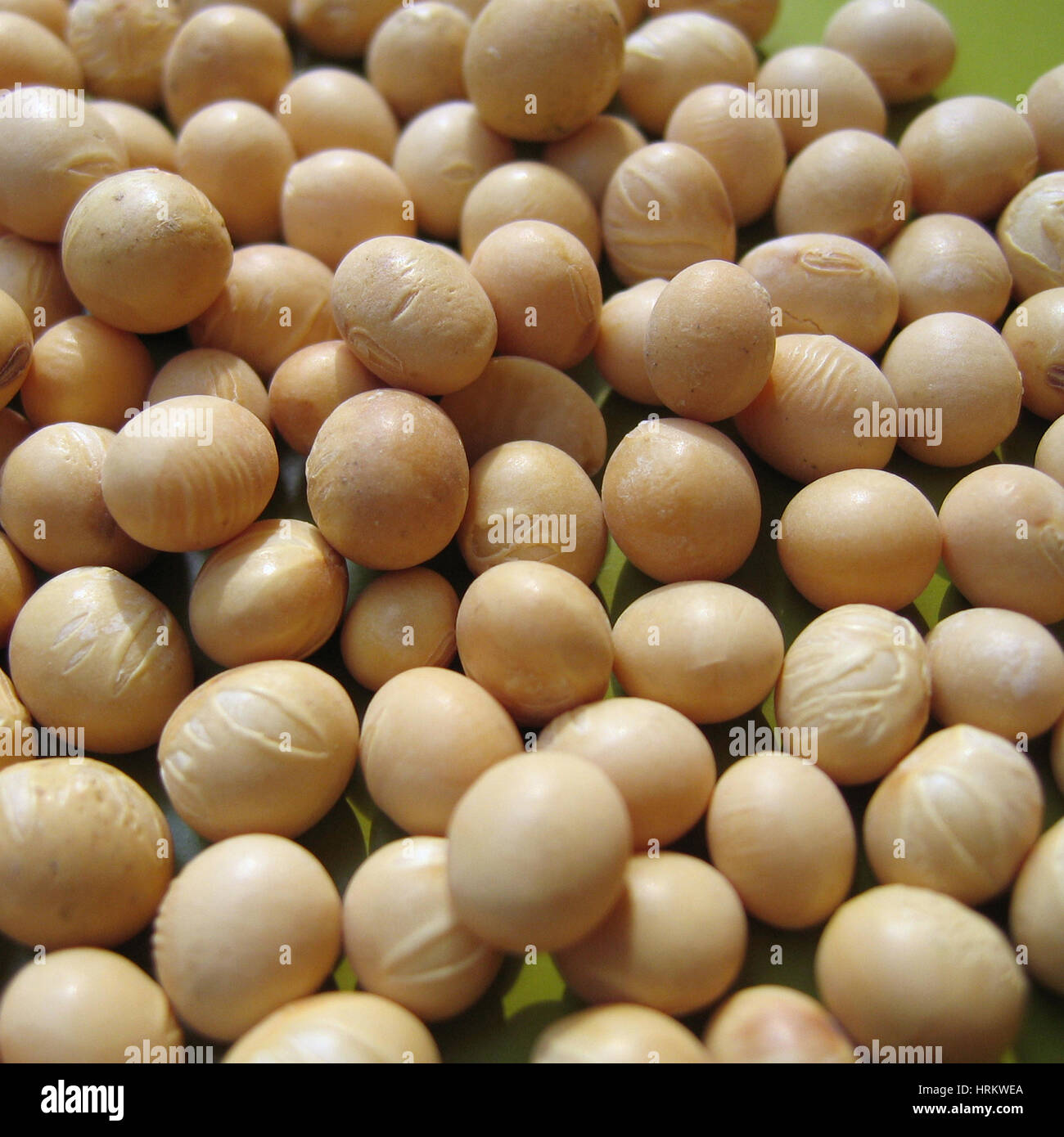 Soya bean meal hi-res stock photography and images - Alamy