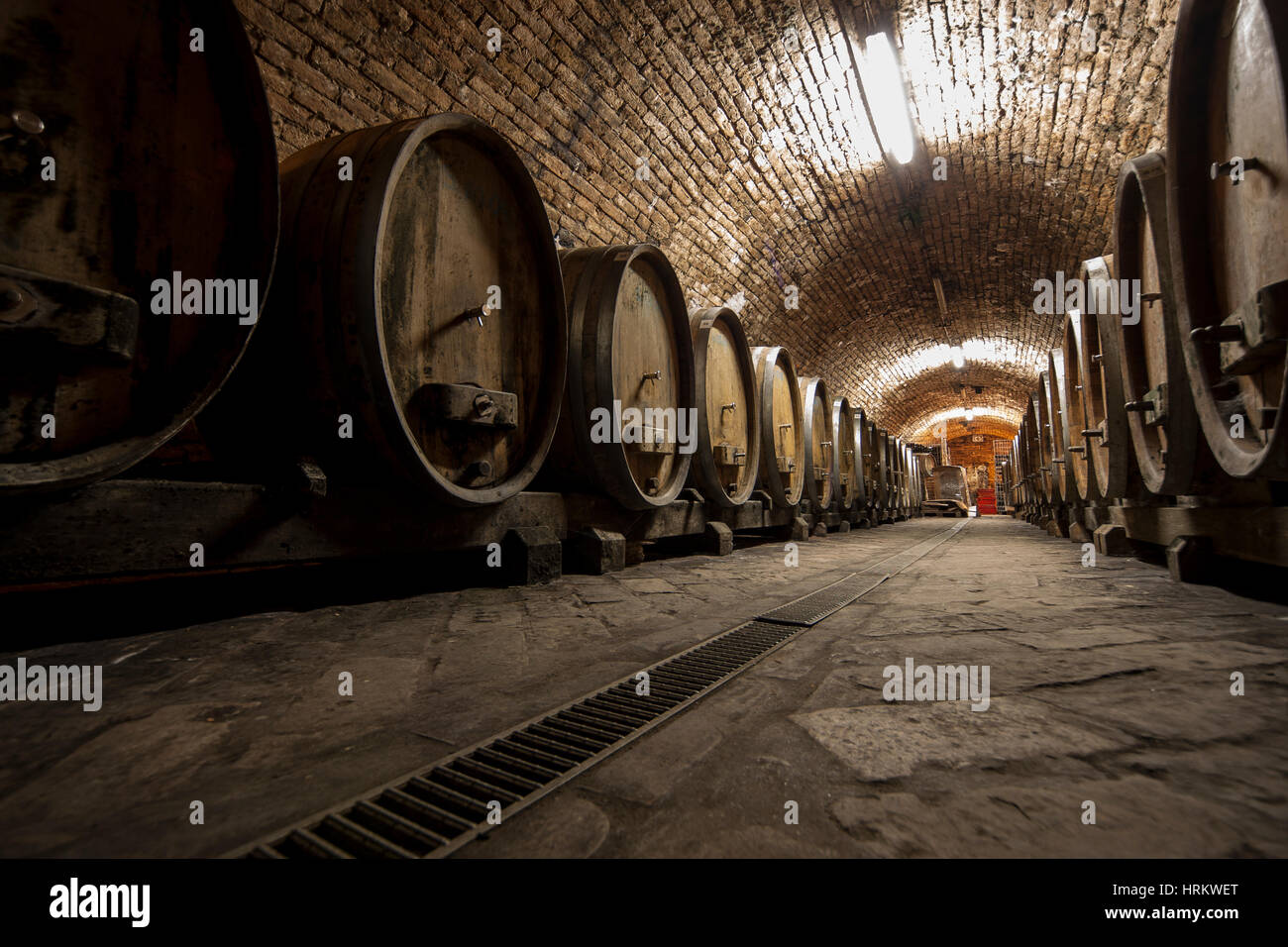 wine barrels in old wine cellar Stock Photo Alamy