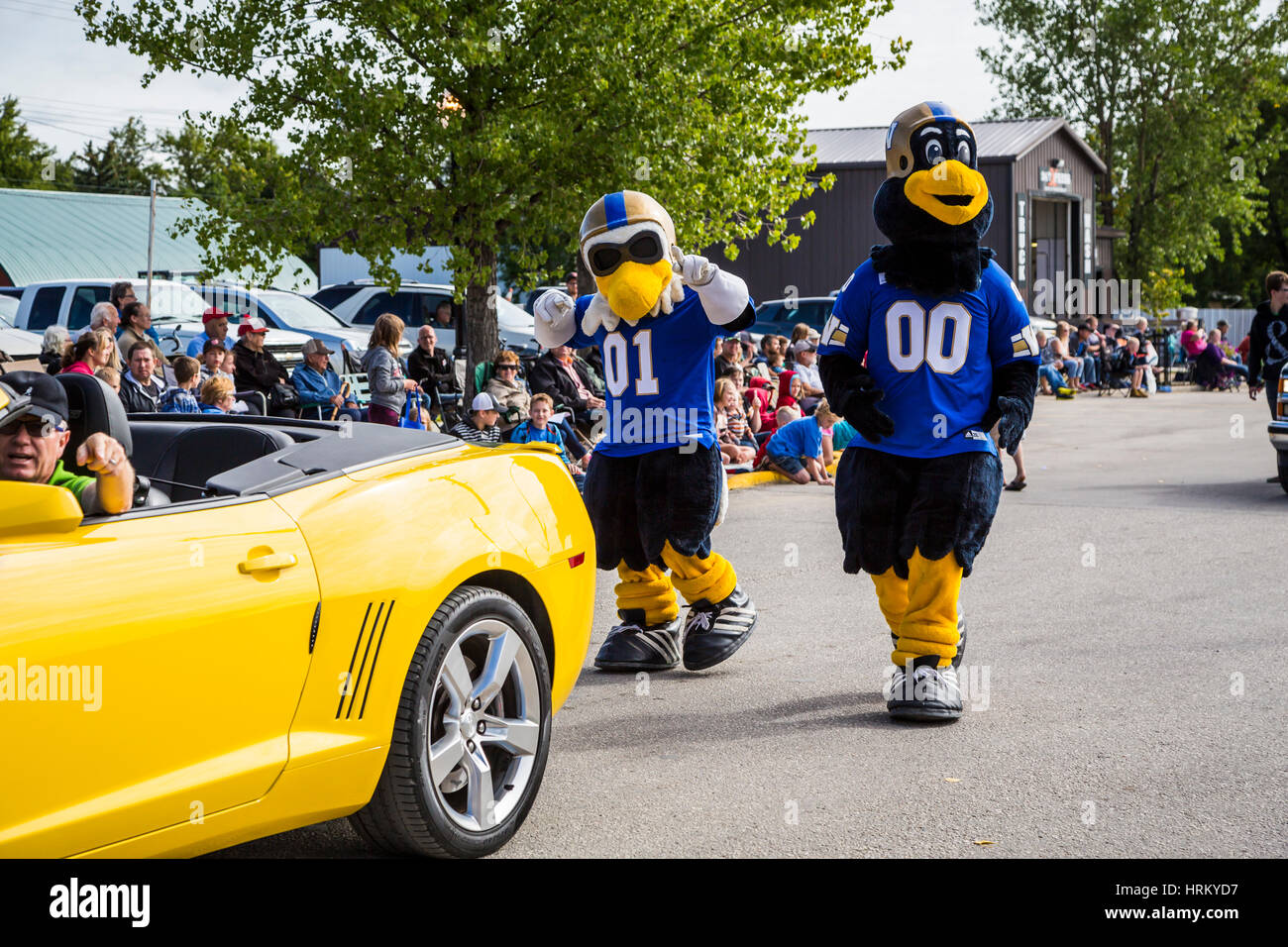 Winnipeg Blue Bomber High Resolution Stock Photography And Images Alamy