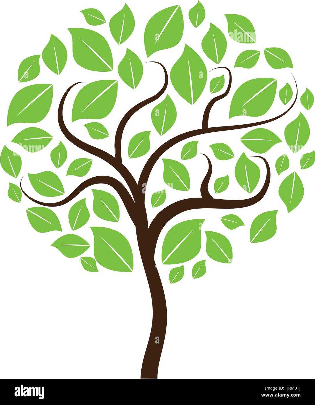 Nature green plant Stock Vector Image & Art - Alamy