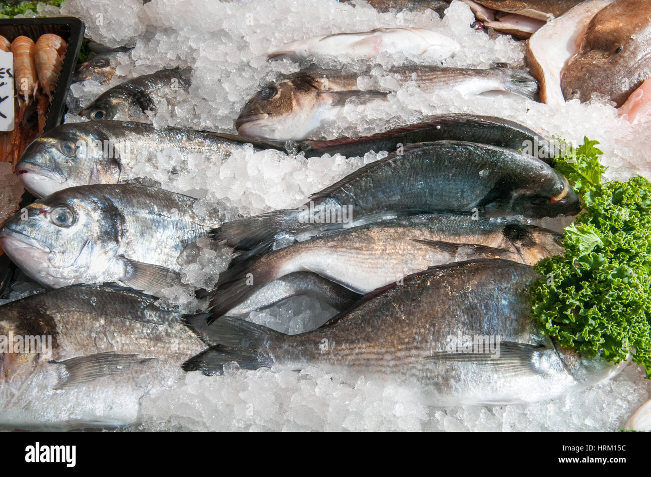 Fresh fish for sale at the local town market stall Stock Photo Alamy