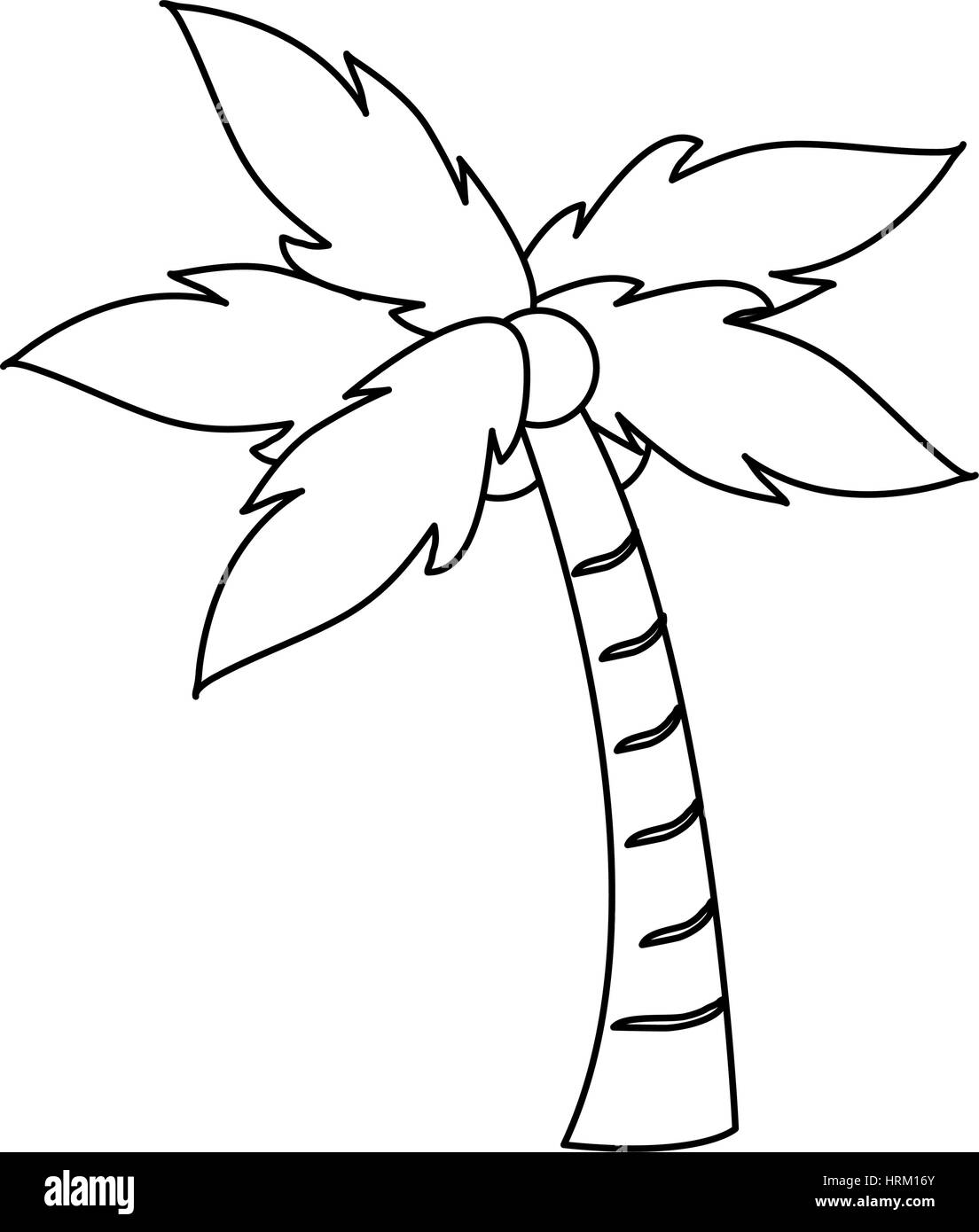 coconut palm tree icon image Stock Vector Image & Art - Alamy
