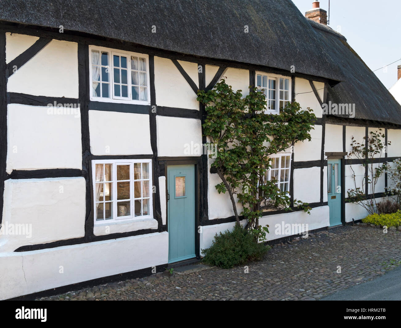 Old black and white timber frame thatched cottage, Frisby on the Wreake, Leicestershire, England, UK. Stock Photo