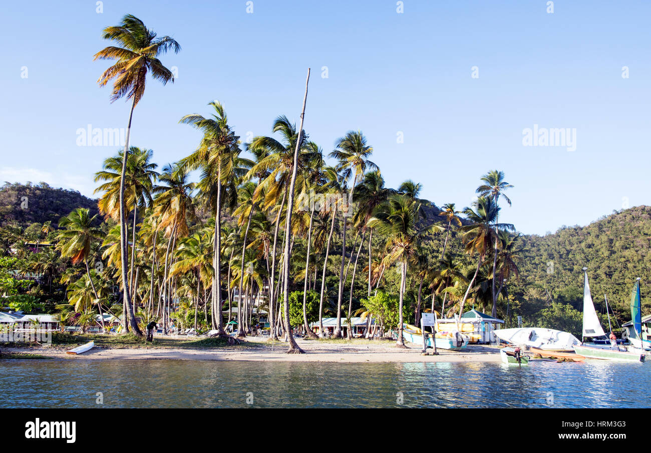 The st lucia yacht club hi-res stock photography and images - Alamy