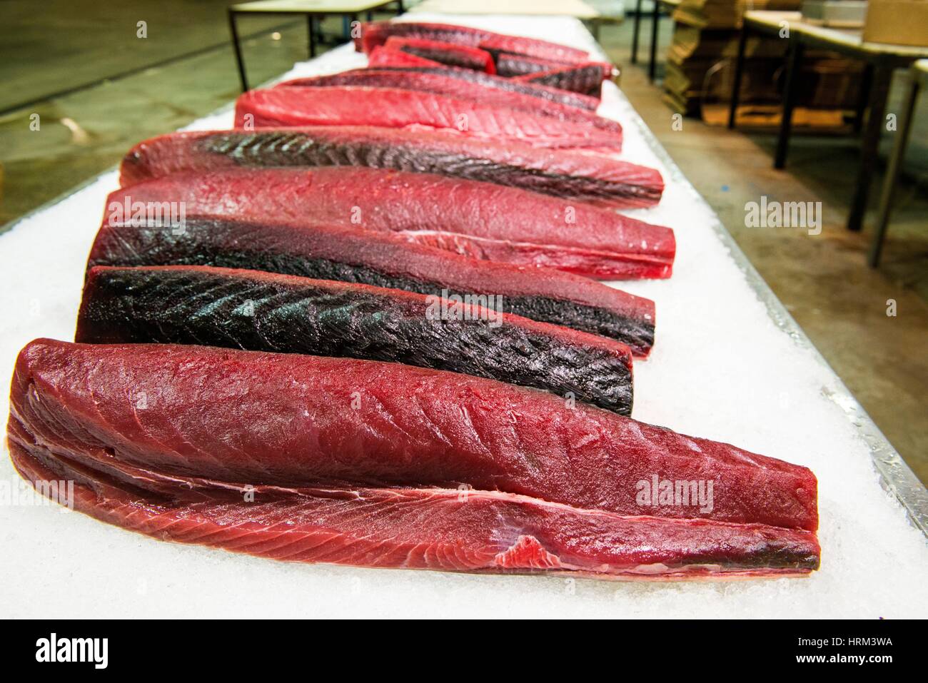New York City, USA. Freshly made tuna fish filets on display at the New
