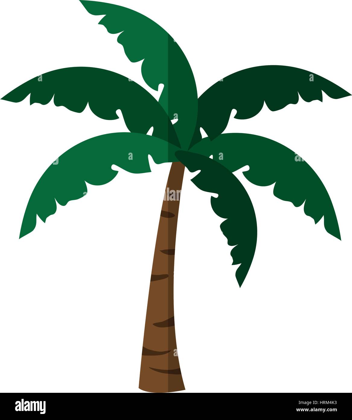 tropical palm icon Stock Vector Image & Art - Alamy