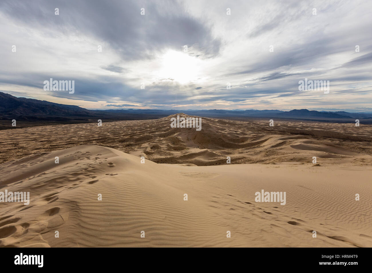 Top of Kelso sand dunes wilderness area in the Mojave National Preserve near Baker California. Stock Photo
