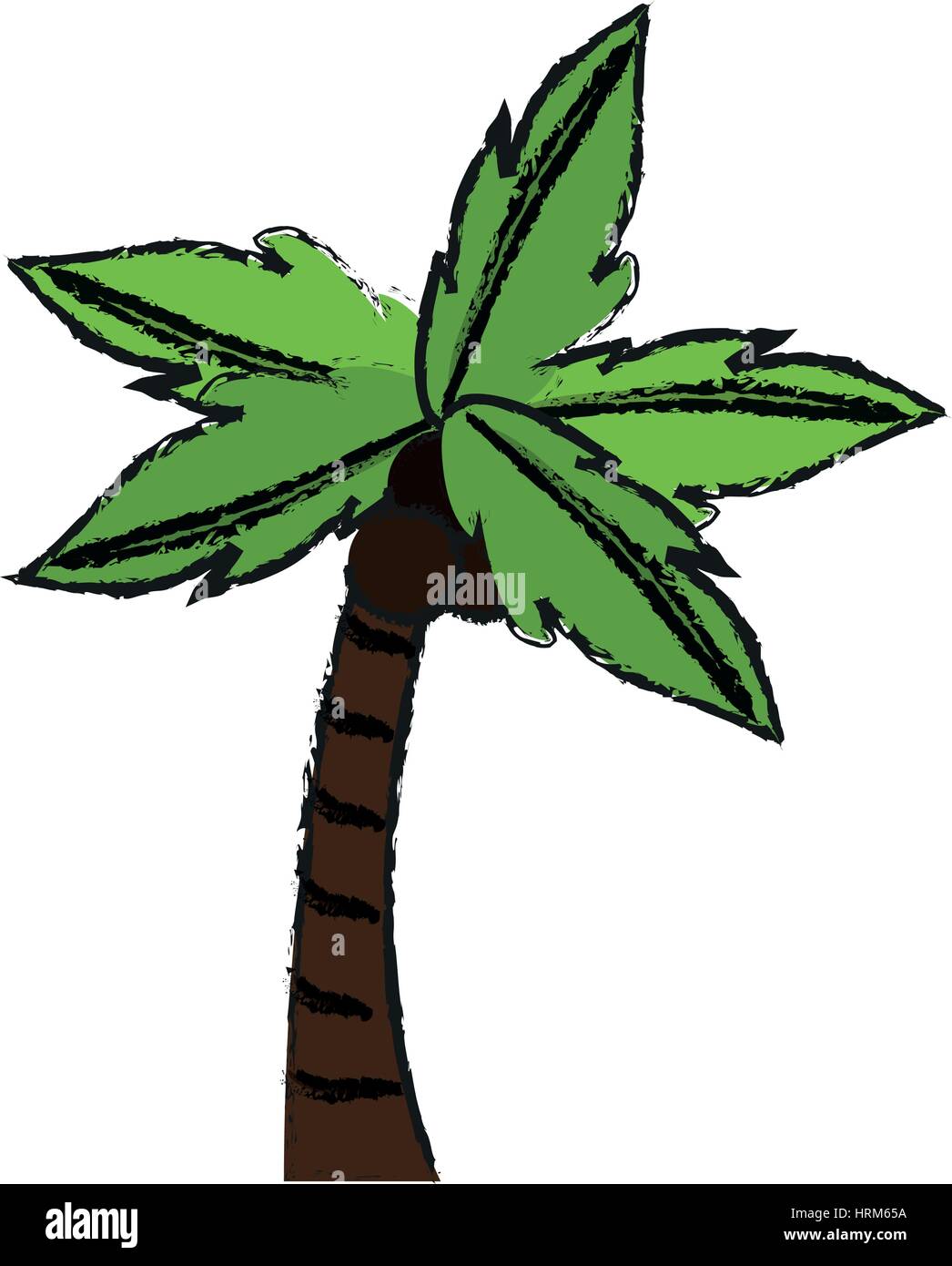 tropical palm icon Stock Vector Image & Art - Alamy