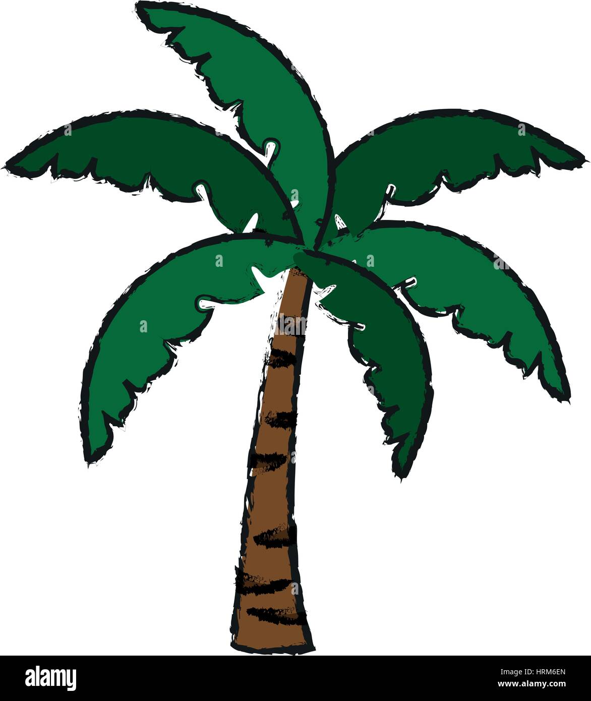 tropical palm icon Stock Vector Image & Art - Alamy
