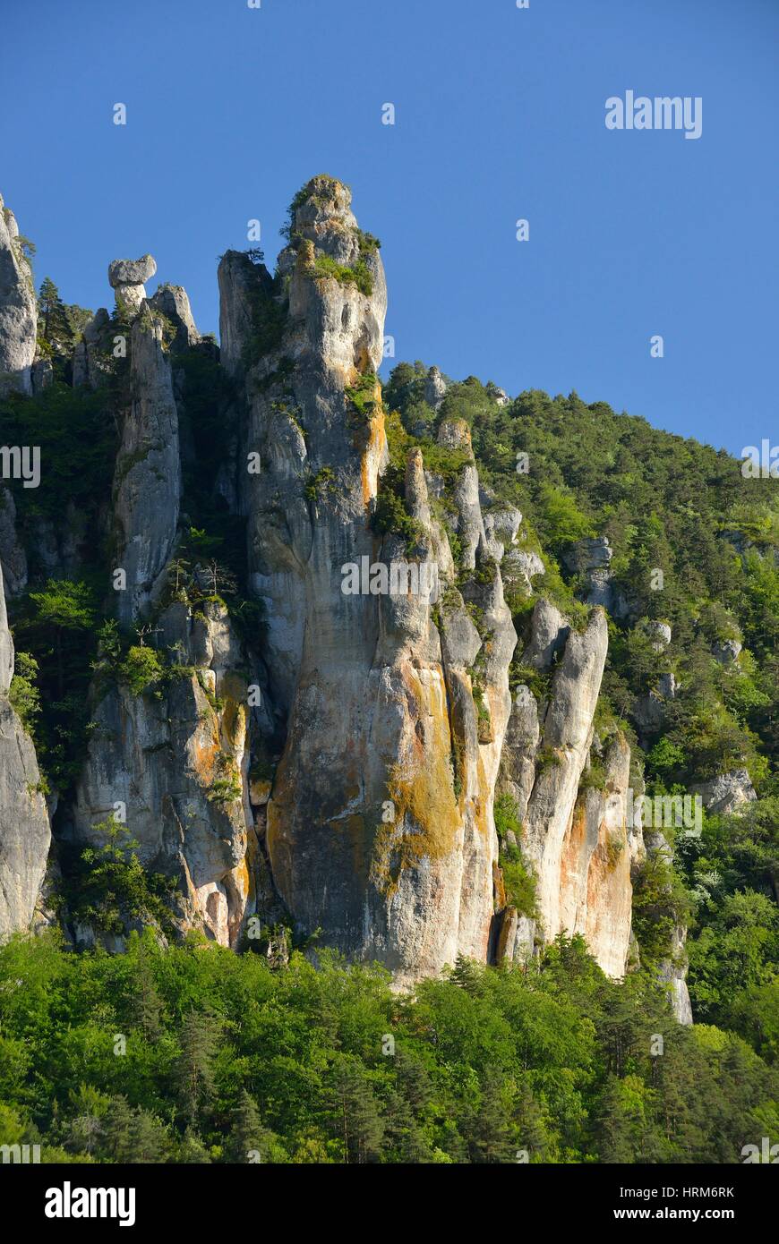 Rock formation named Vase de Chine et Vase de Sèvres in les Gorges duTarn,  Lozère 48, région Languedoc-Roussillon-Midi-Pyrénées, France, Europe Stock  Photo - Alamy