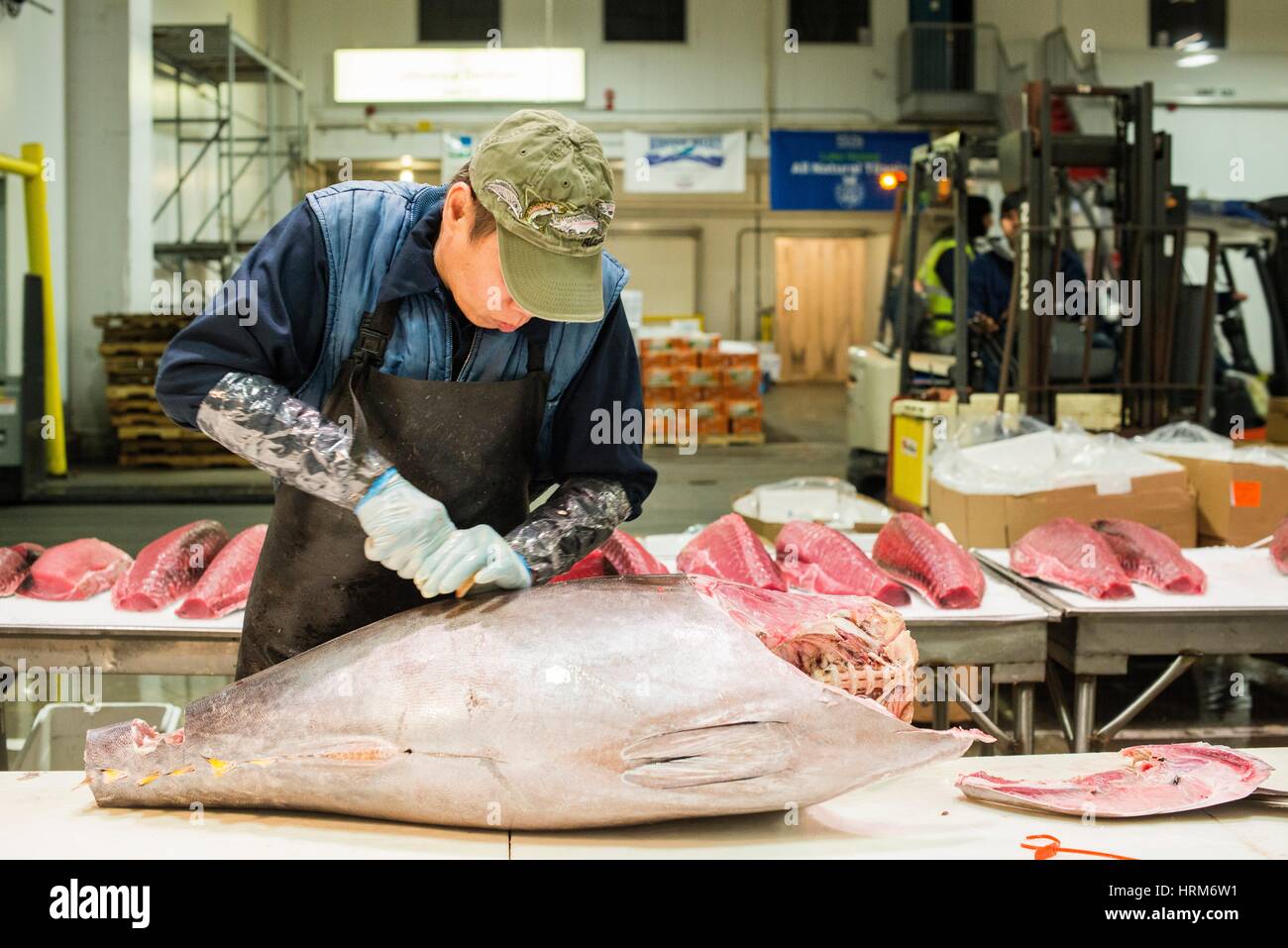 New York City, USA. Wholesale market stall employee cutting up a fresh