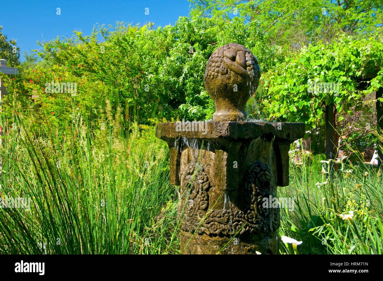 Fountain at Sacred Garden, San Antonio Botanical Garden, San Antonio
