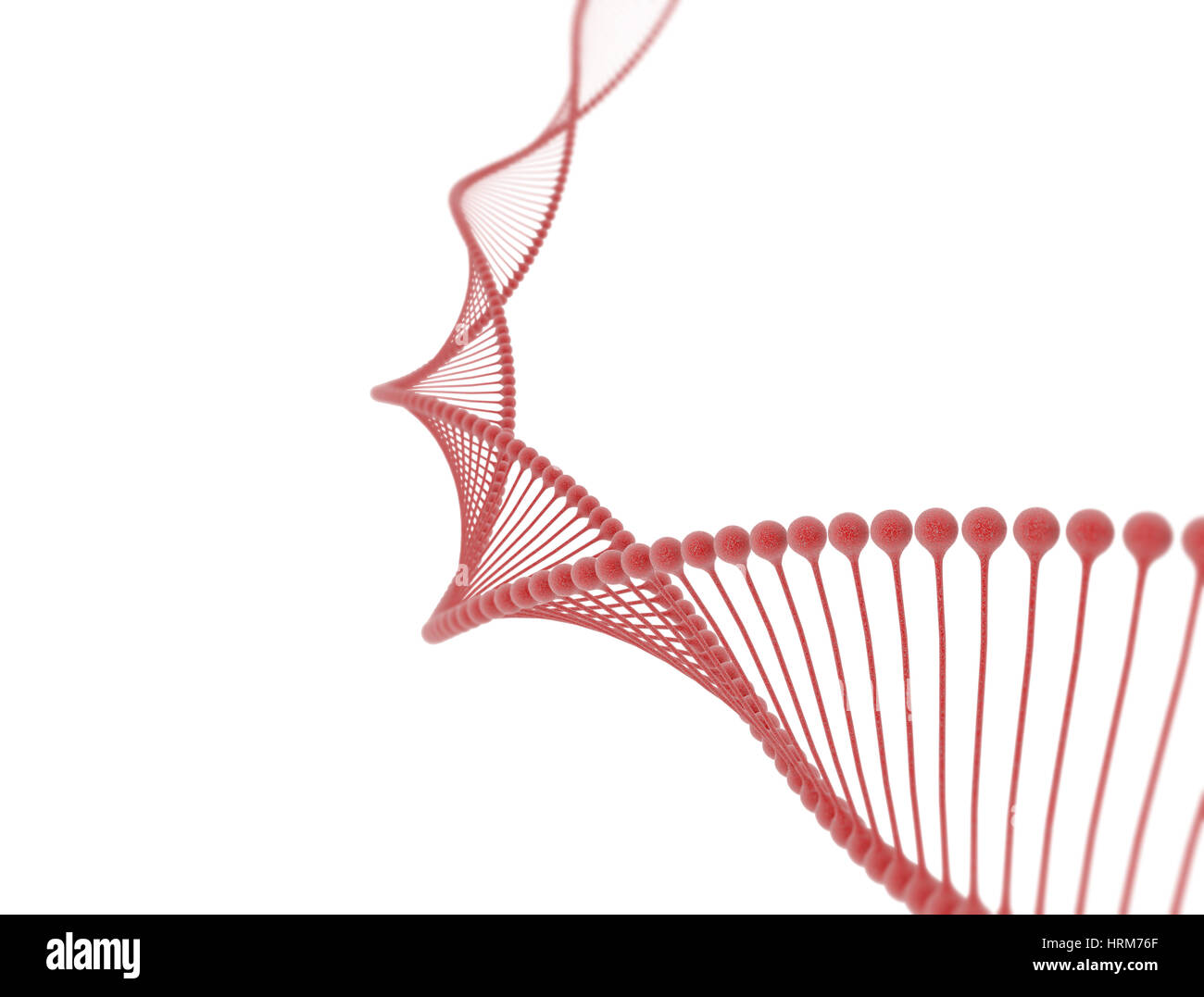 DNA molecule isolated in white background Stock Photo