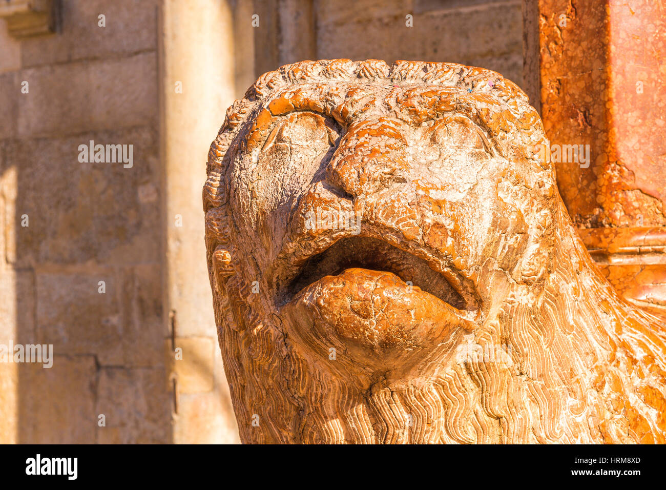 Romanesque sculpture of lion in Modena Stock Photo Alamy