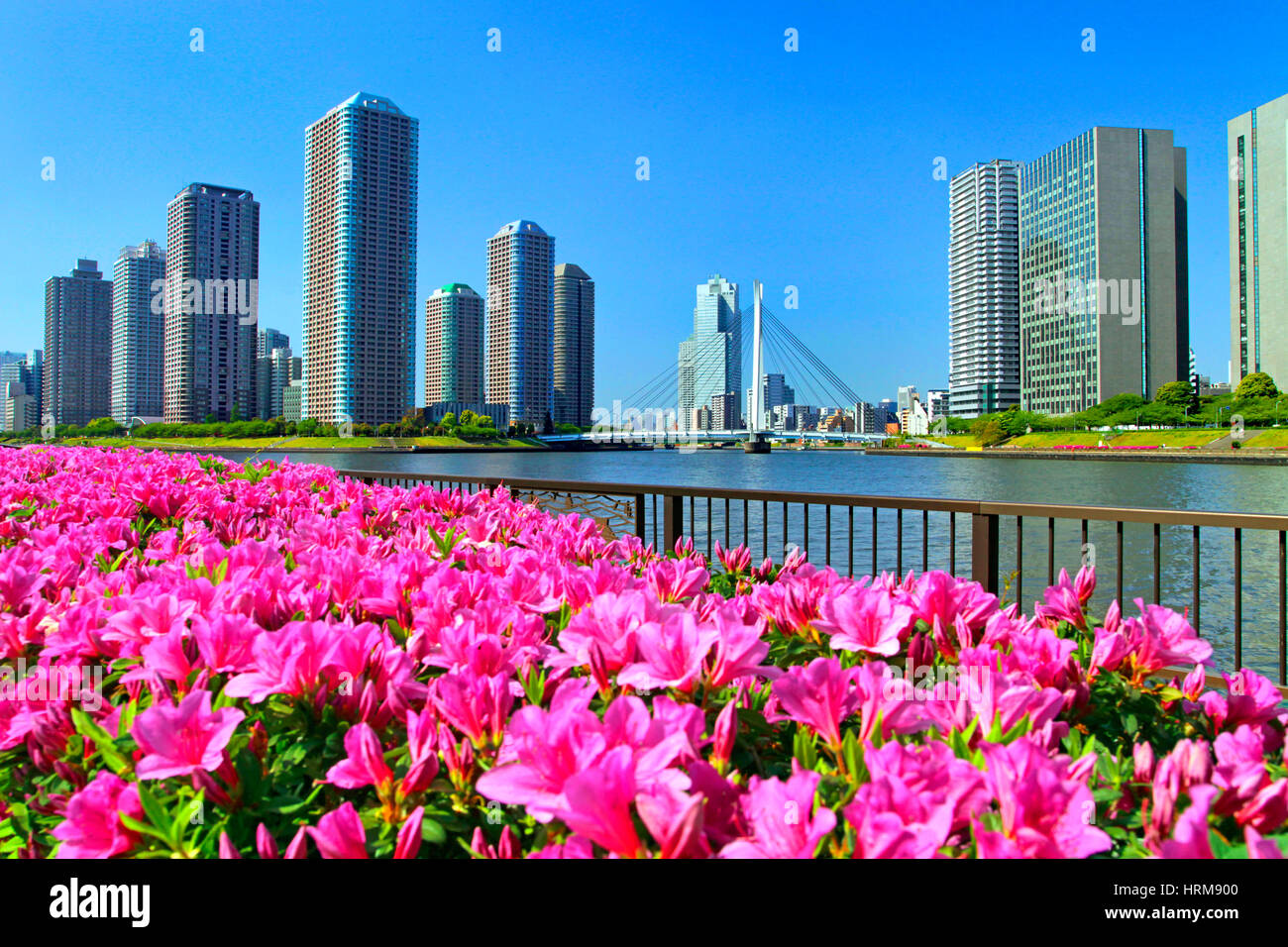 Okawabata River City 21 Hi Res Stock Photography And Images Alamy Okawabata River City 21 Hi Res Stock Photography And Images Alamy