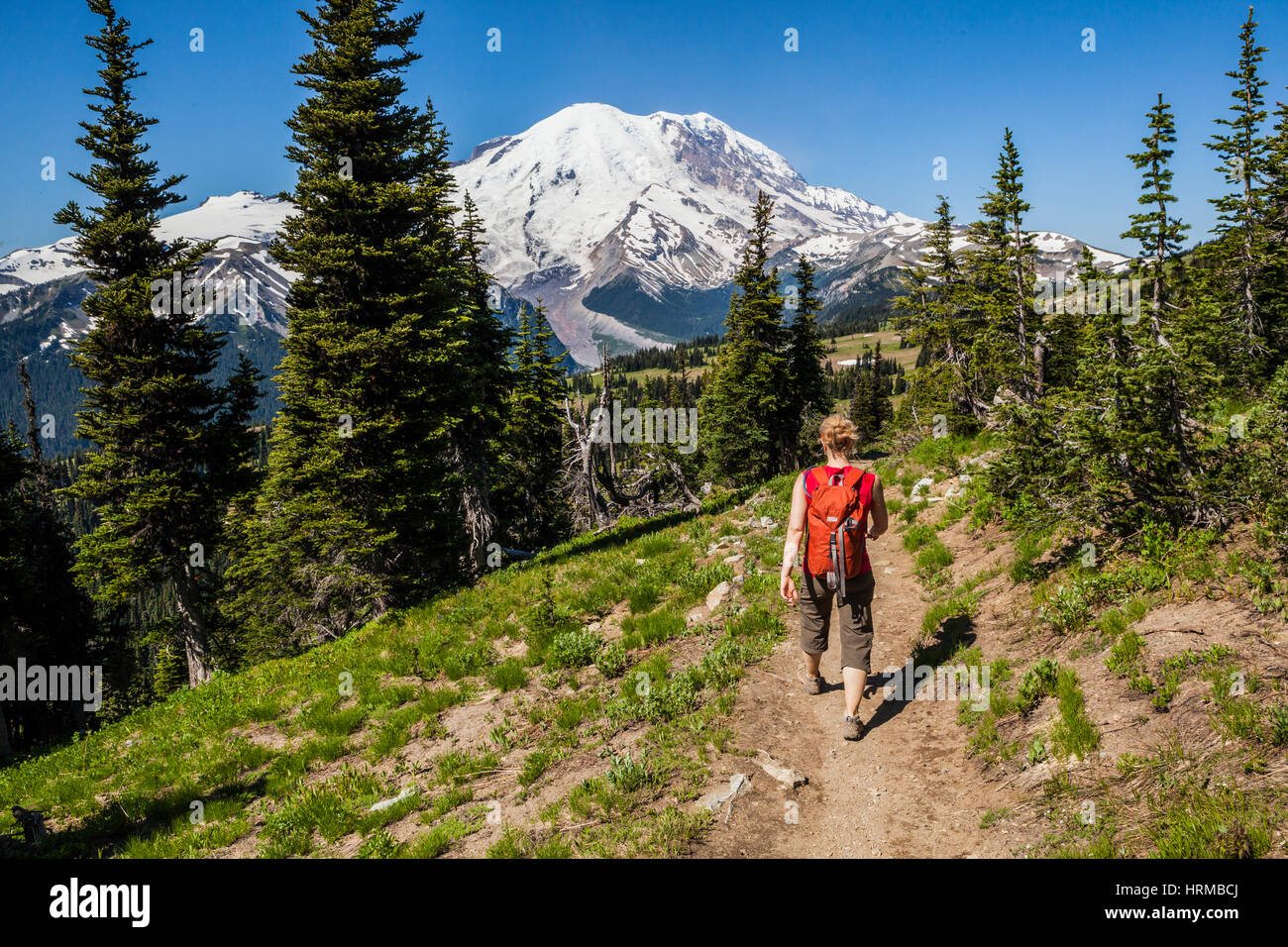 Sourdough Ridge Mount Rainier Hi res Stock Photography And Images Alamy