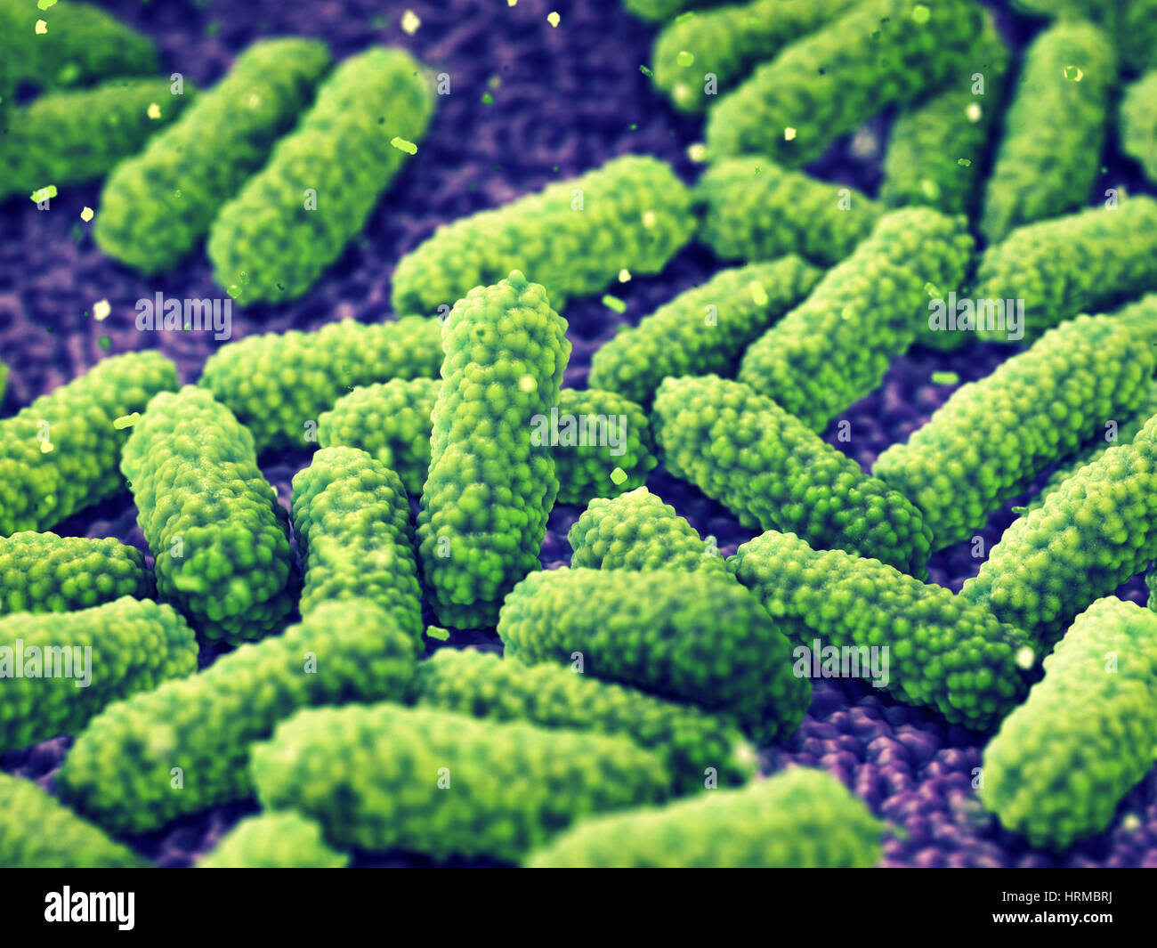 Bacteria , Germ infection and Pandemic disease Stock Photo