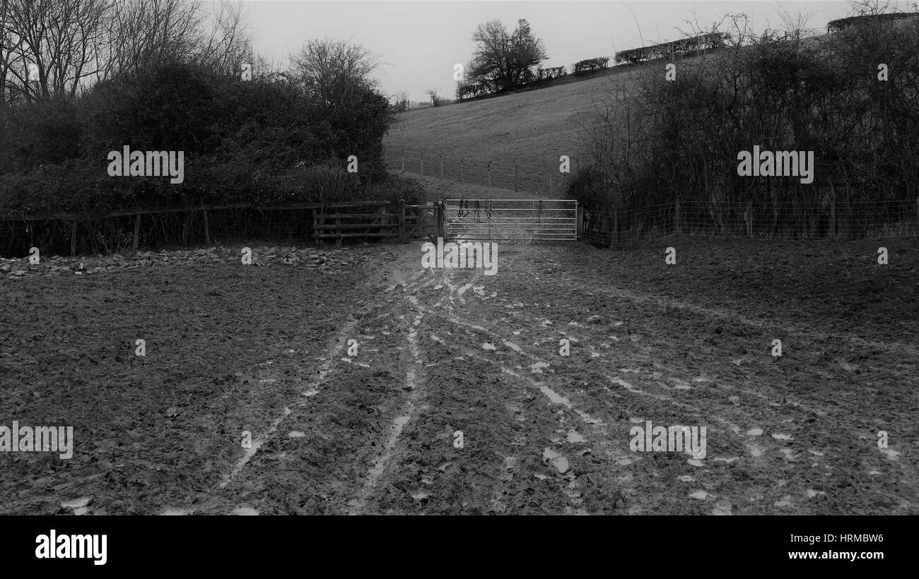 Very muddy farm field with overcast sky in black and white, Cotswold countryside, England,UK Stock Photo