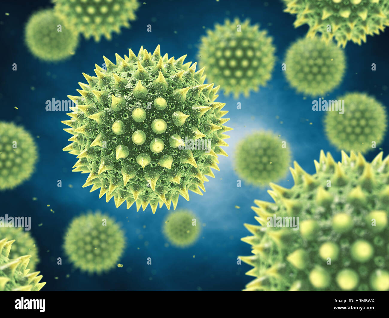 Pollen allergy is also known as hay fever or allergic rhinitis , Airborne pollen grains Stock Photo