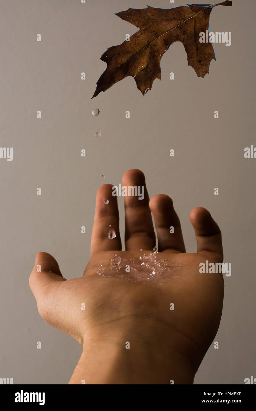 A Raindrop Falling Onto A Hand From A Leaf Stock Photo