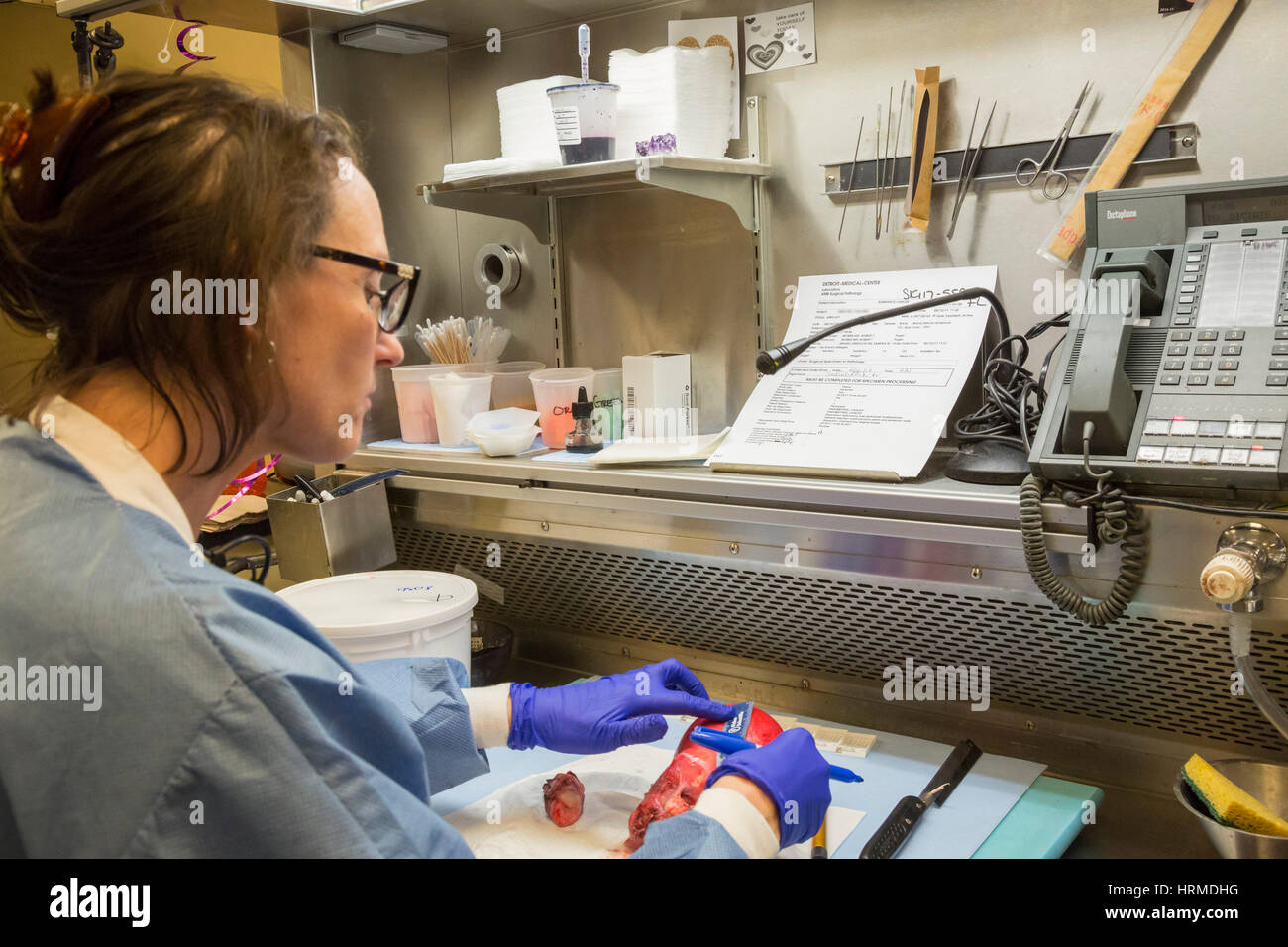 Pathology Assistant High Resolution Stock Photography and Images Alamy