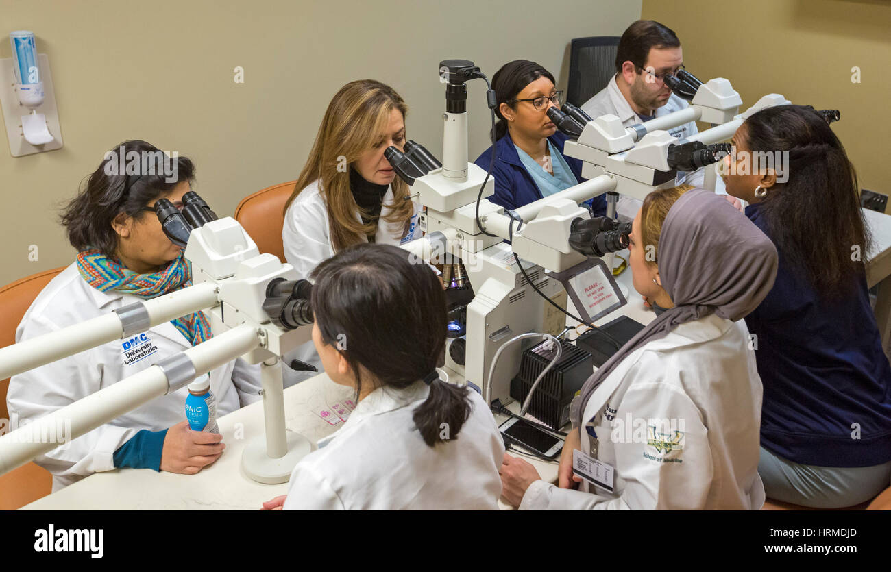 Detroit, Michigan - Dr. Rouba Ali (far side, second from left), a pathologist, teaches a class at the Detroit Medical Center. Dr. Ali immigrated from  Stock Photo