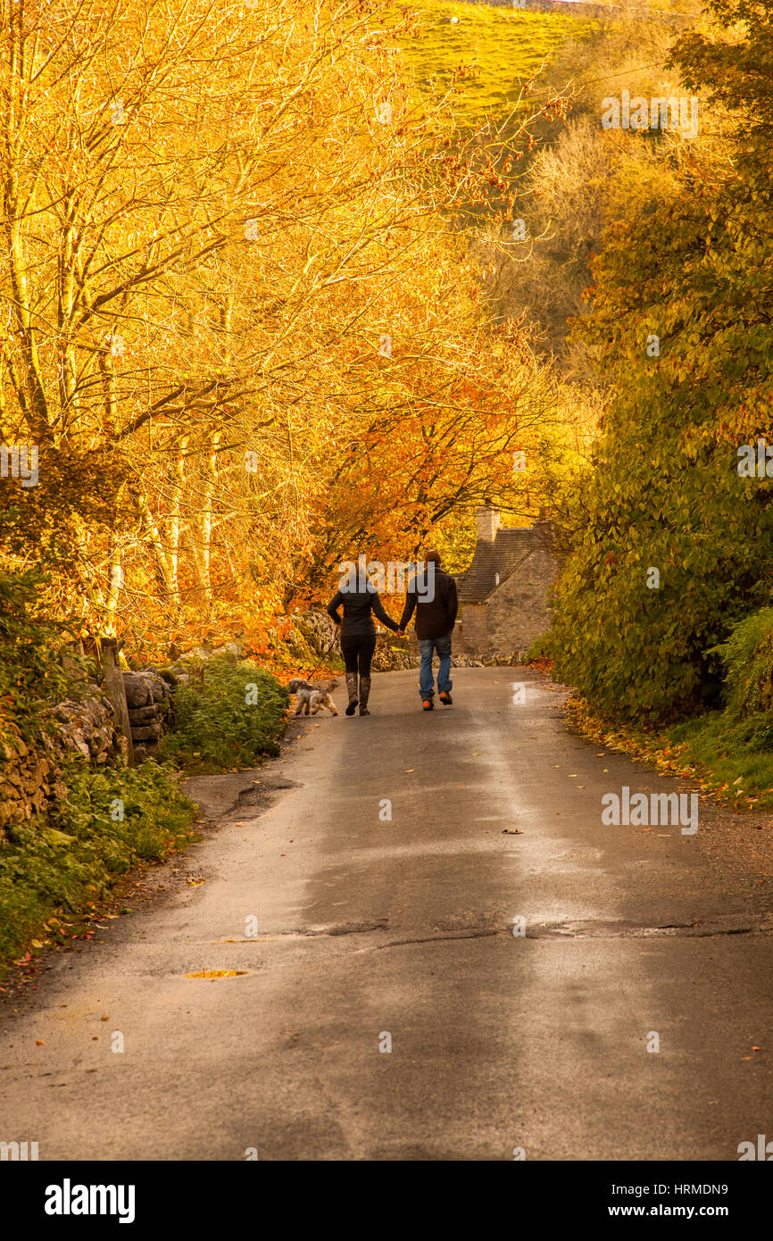 Man woman dog walking hi-res stock photography and images - Alamy