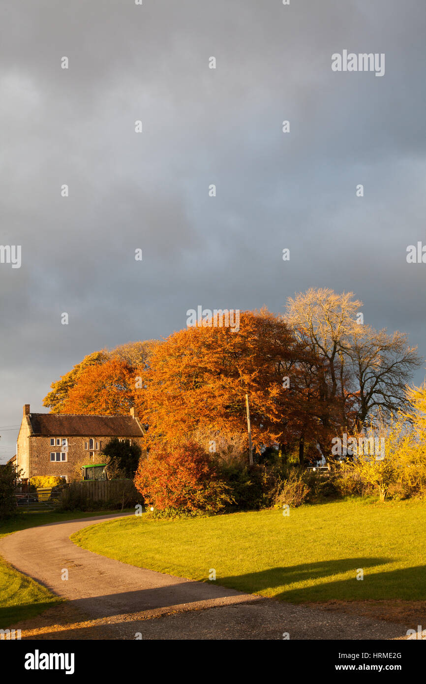 Farmhouse in the English Peak District with Autumn colours and dramatic