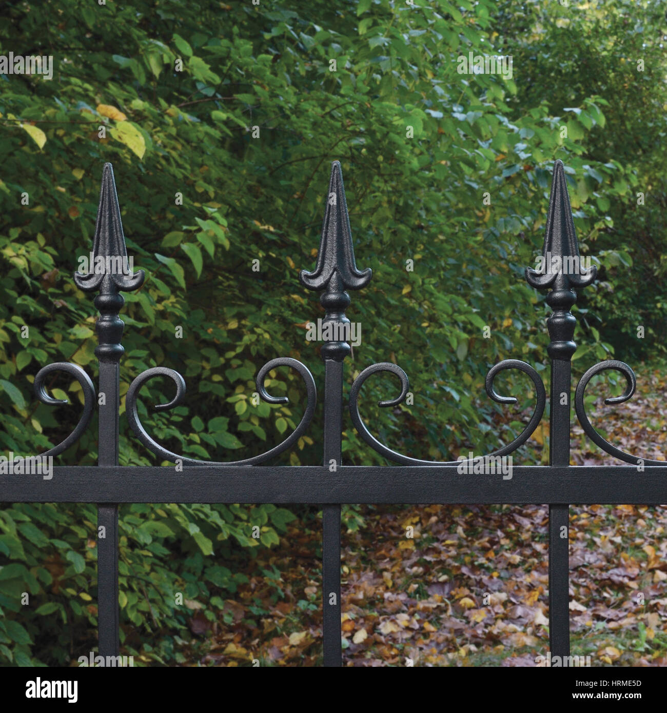 Ornate Wrought Iron Fence Stock Photos & Ornate Wrought Iron Fence ...