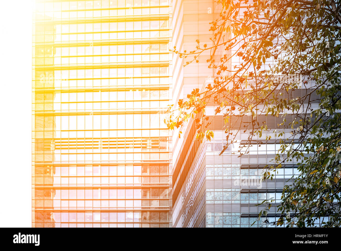 Modern office building close up in sunlight Stock Photo - Alamy