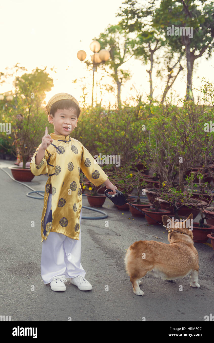 Happy kid having fun with traditional dress (ao dai) in Ochna Integerrima (Hoa Mai) garden. Hoa Mai flower is used for decoration in lunar new year in Stock Photo