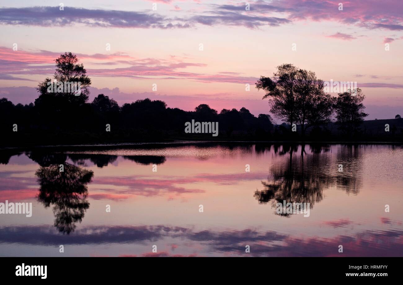 Reflections new forest hi-res stock photography and images - Alamy