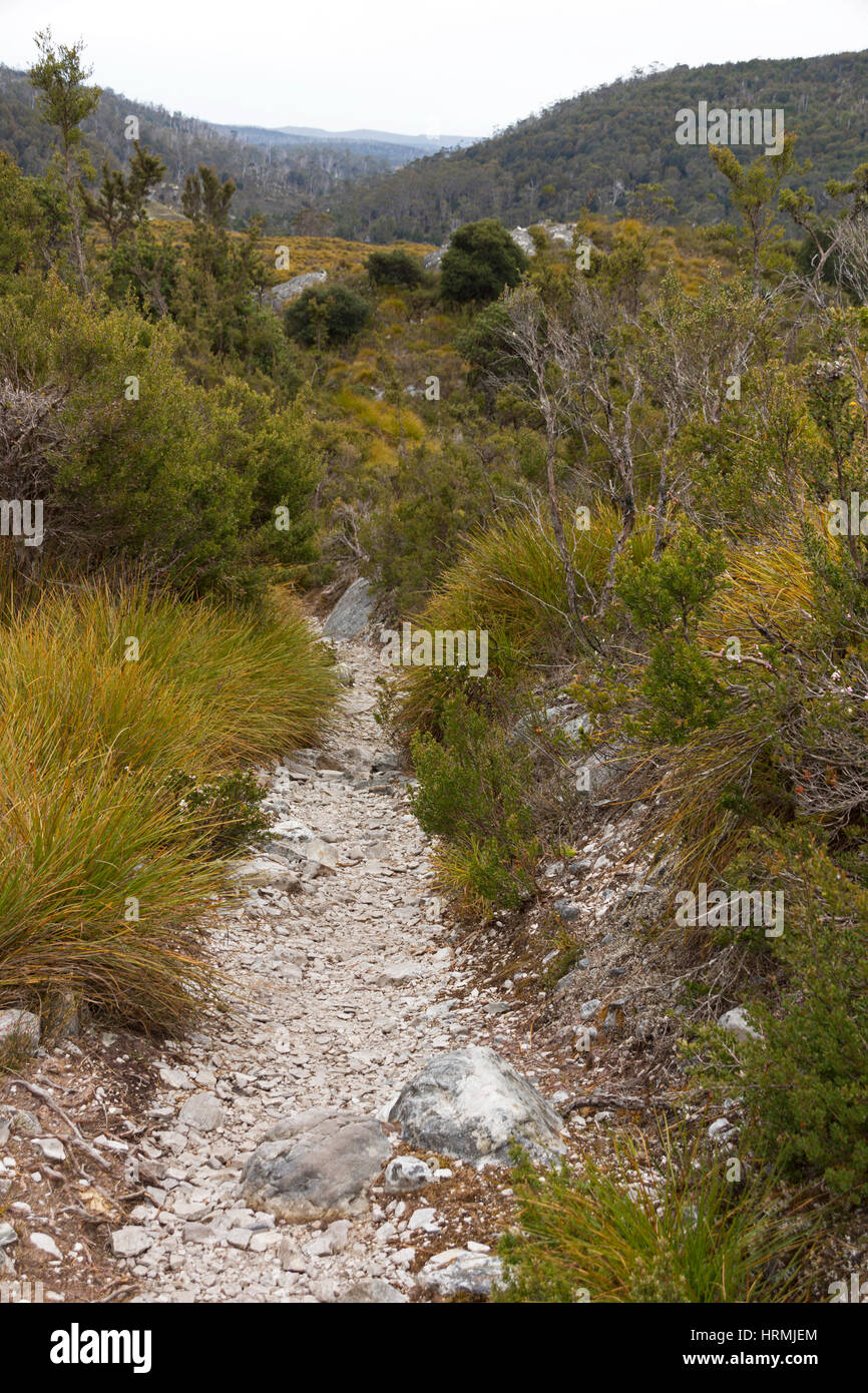 Lake Lilla hiking path at Dove Lake, Cradle Mountain, Tasmania, Australia Stock Photo