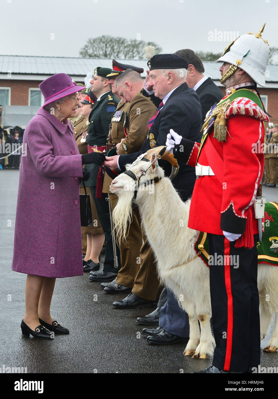 Queen Elizabeth II reviews members of The Royal Welsh Regimental Family and one of two regimental goats at Lucknow Barracks in Tidworth, Wiltshire, during a visit to mark St David's Day. Stock Photo