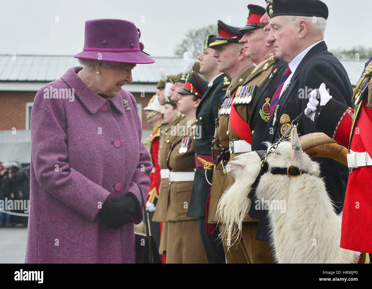 PABEST Queen Elizabeth II reviews members of The Royal Welsh Regimental Family and one of two regimental goats at Lucknow Barracks in Tidworth, Wiltshire, during a visit to mark St David's Day. Stock Photo