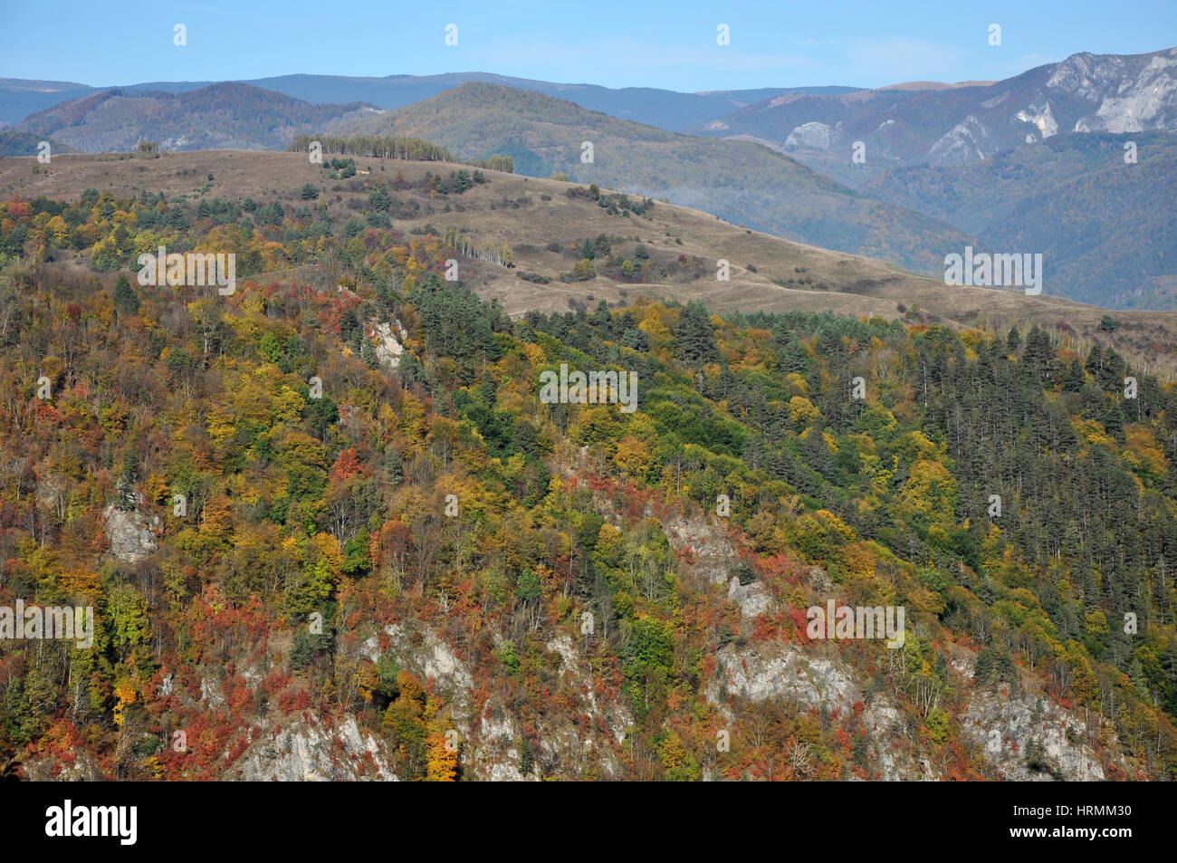 Autumn fall foliage - beautiful forest at autumn Stock Photo - Alamy