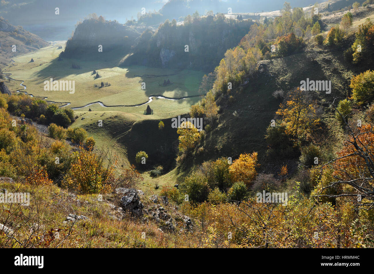 Autumn fall foliage - beautiful forest at autumn Stock Photo - Alamy