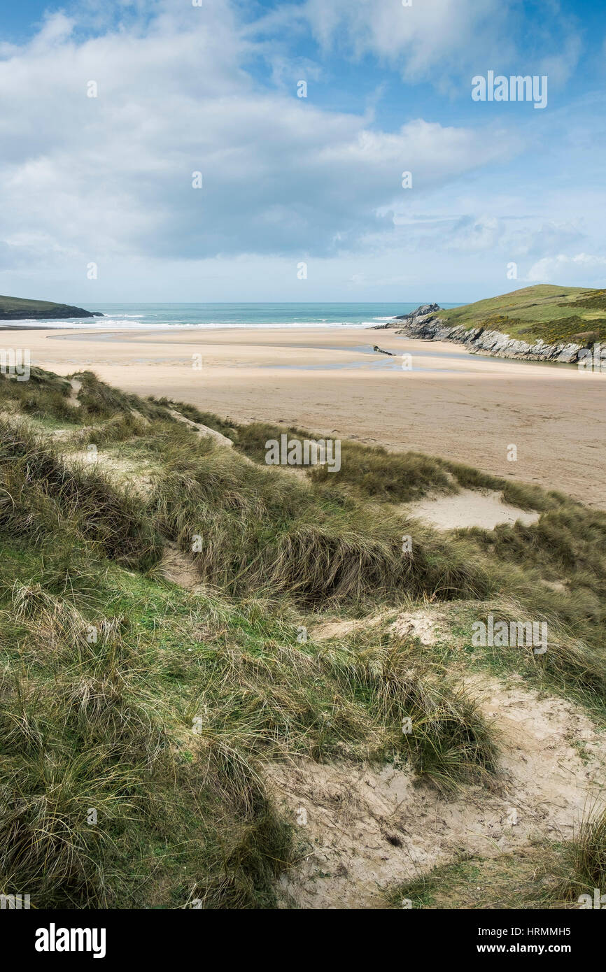 Sand dunes Marram Grass Crantock Beach Gannel Estuary Newquay Cornwall England UK Stock Photo