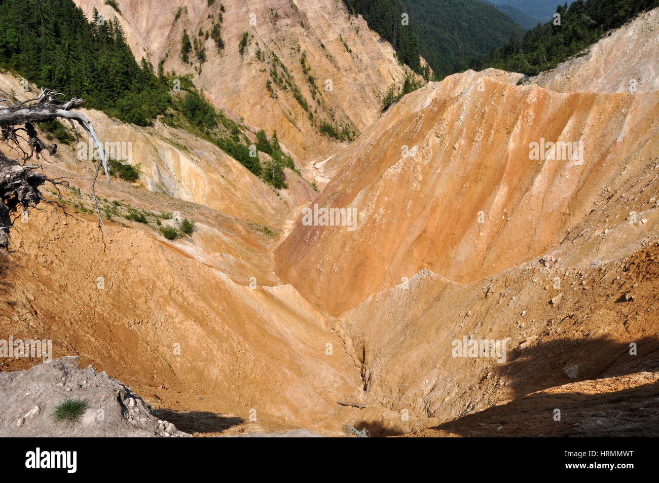 Deep ravine, erosion landscape Stock Photo Alamy