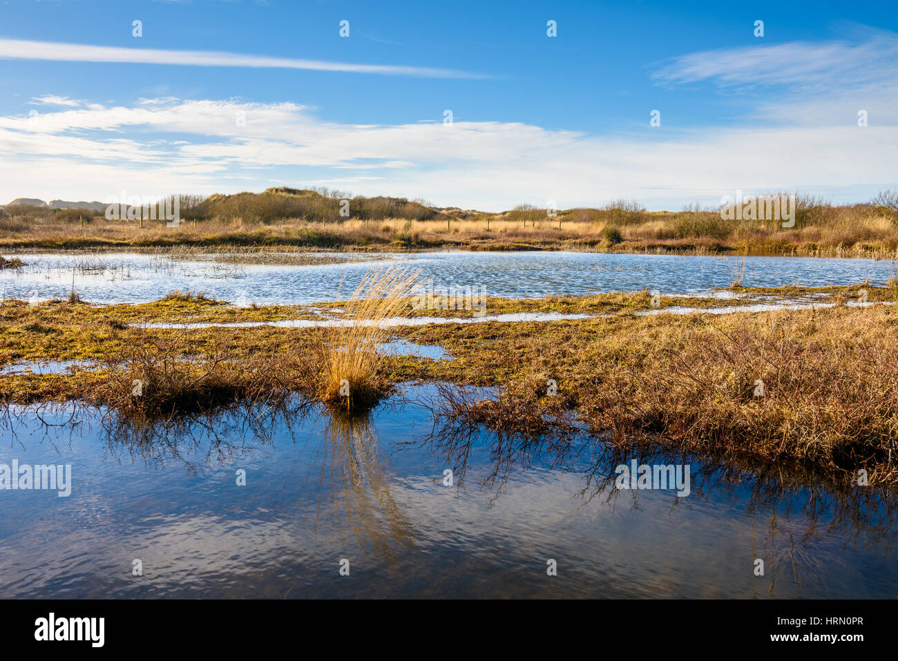 Pond at Braunton Burrows, Devon, England Stock Photo Alamy