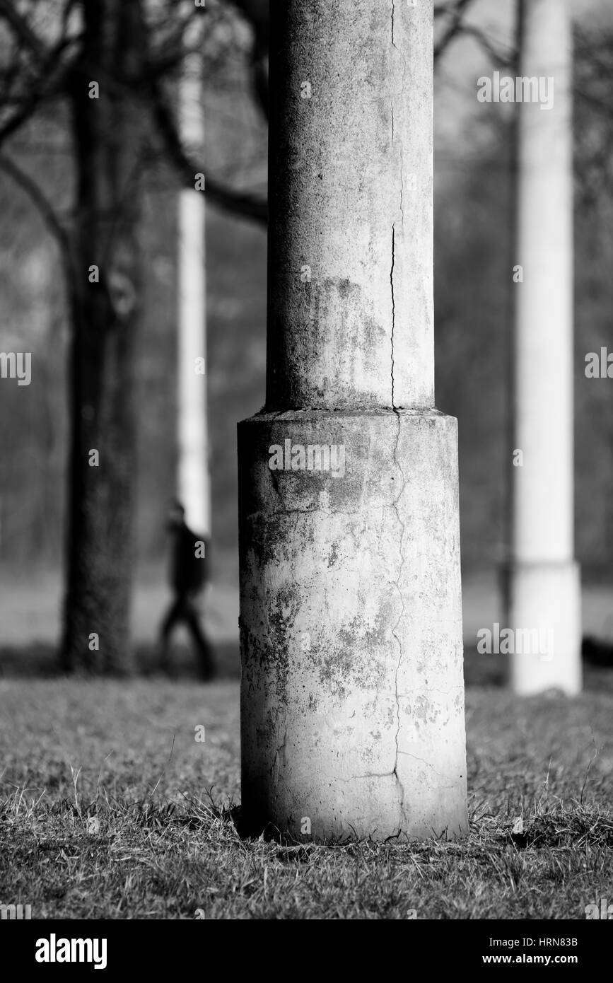 Concrete poles and tree Stock Photo