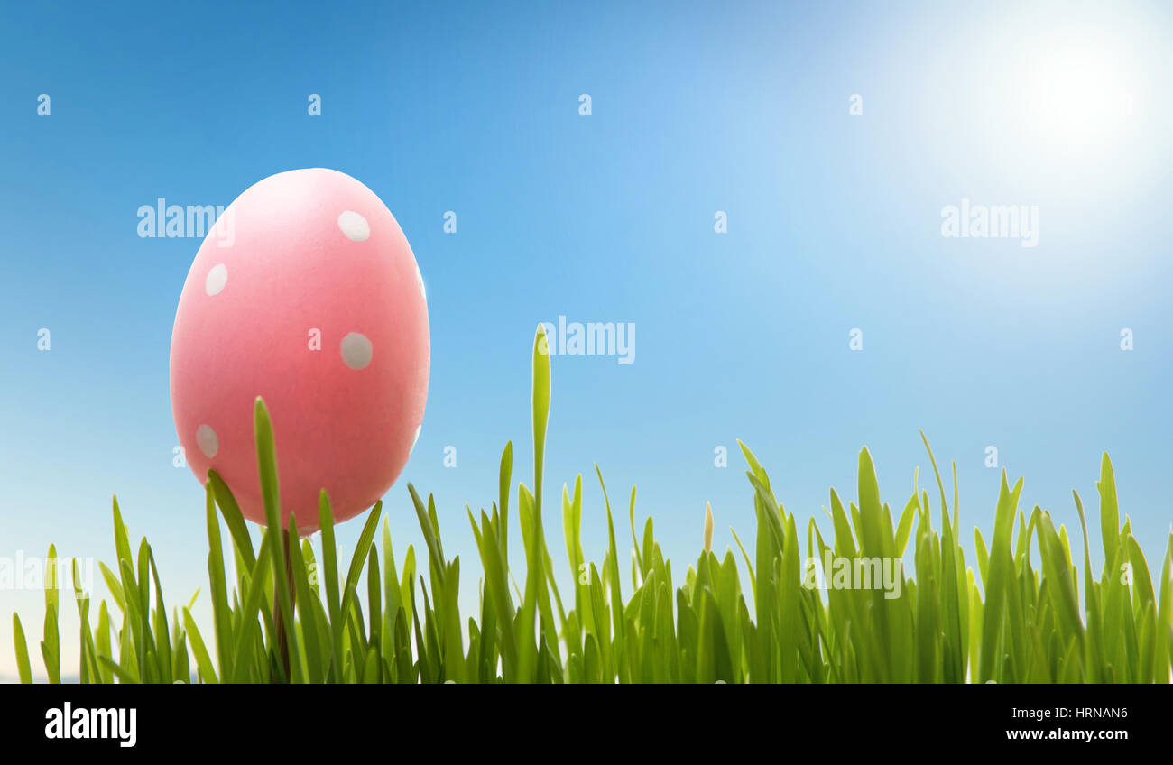 Easter egg and green grass against blue sky Stock Photo - Alamy