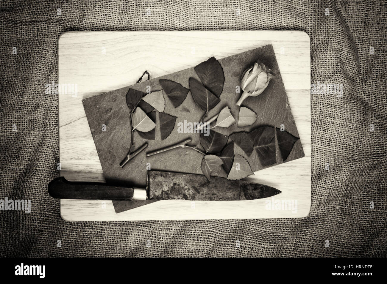 Single rose cut up on piece of slate Stock Photo - Alamy