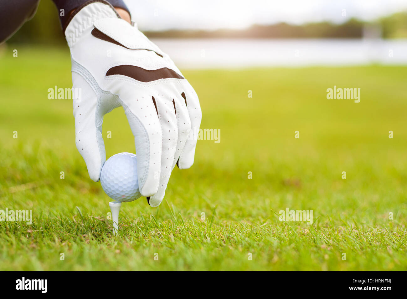 Hand hold golf ball with tee on course, closeup Stock Photo Alamy