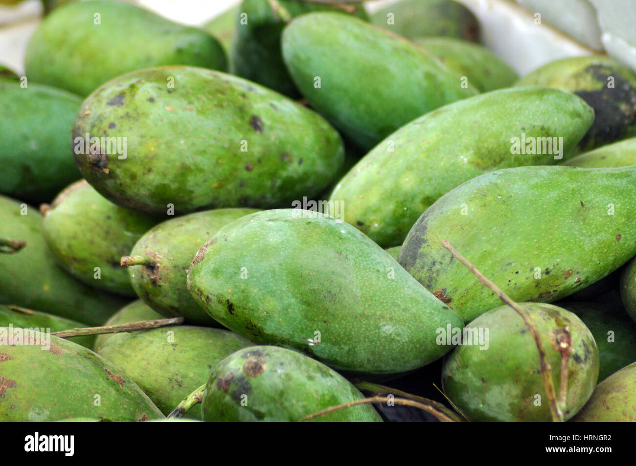 Mango fruits for sale Stock Photo Alamy