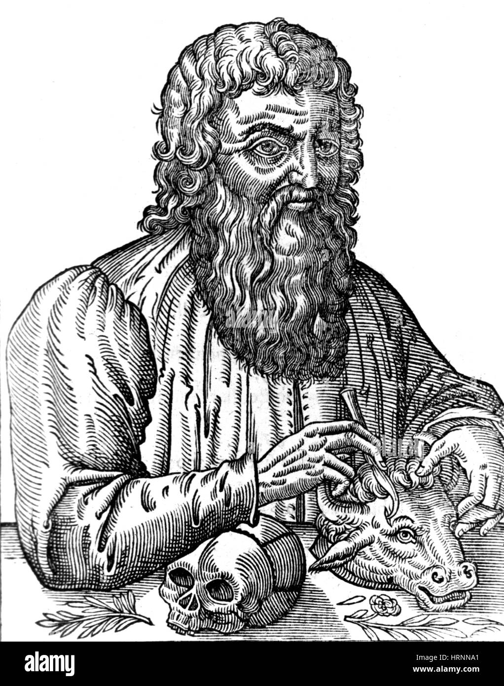 Ancient Greek Medicine Hippocrates