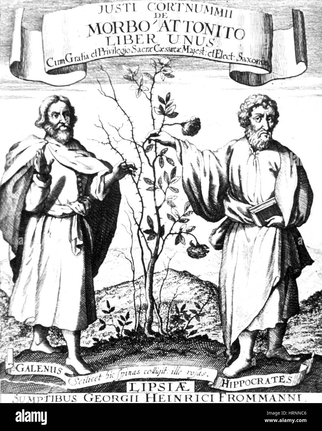 Galen and Hippocrates, Greek Physicians Stock Photo
