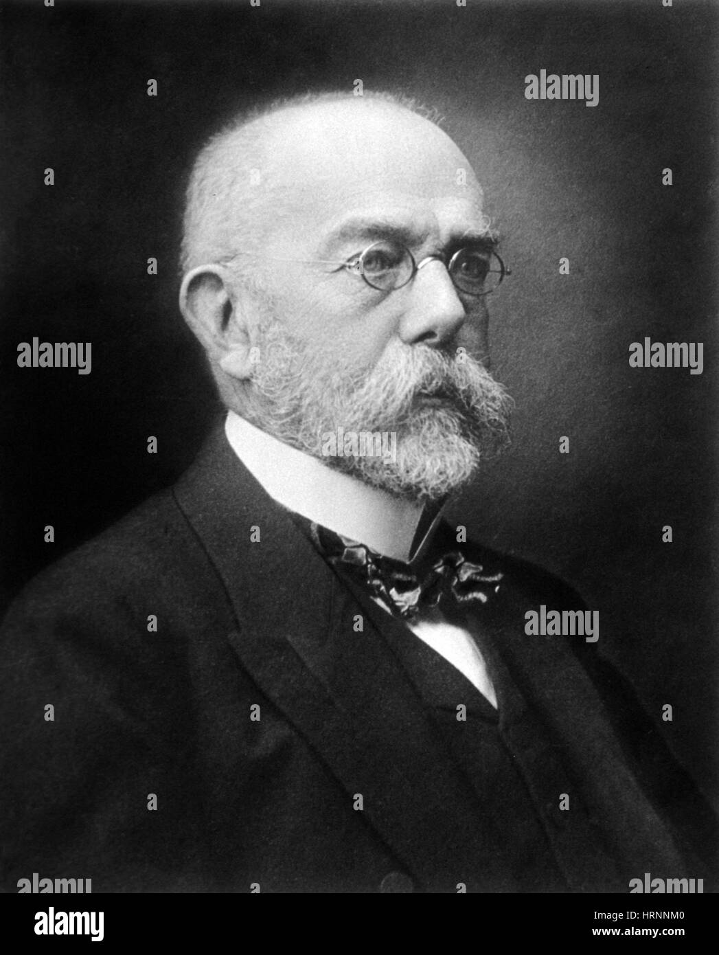 Robert Koch, German Microbiologist Stock Photo - Alamy