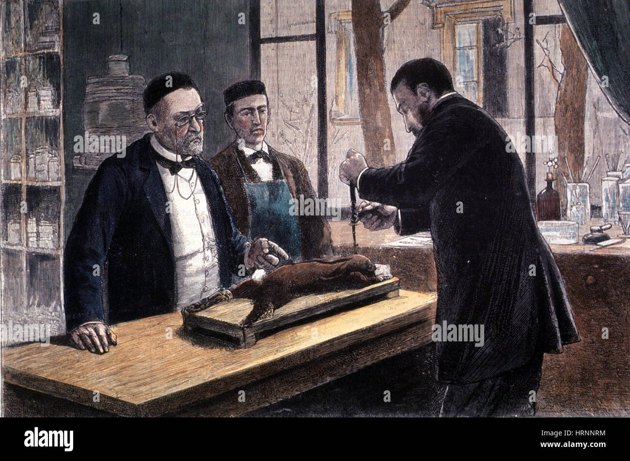 Louis pasteur french chemist and bacteriologist stock photo alamy