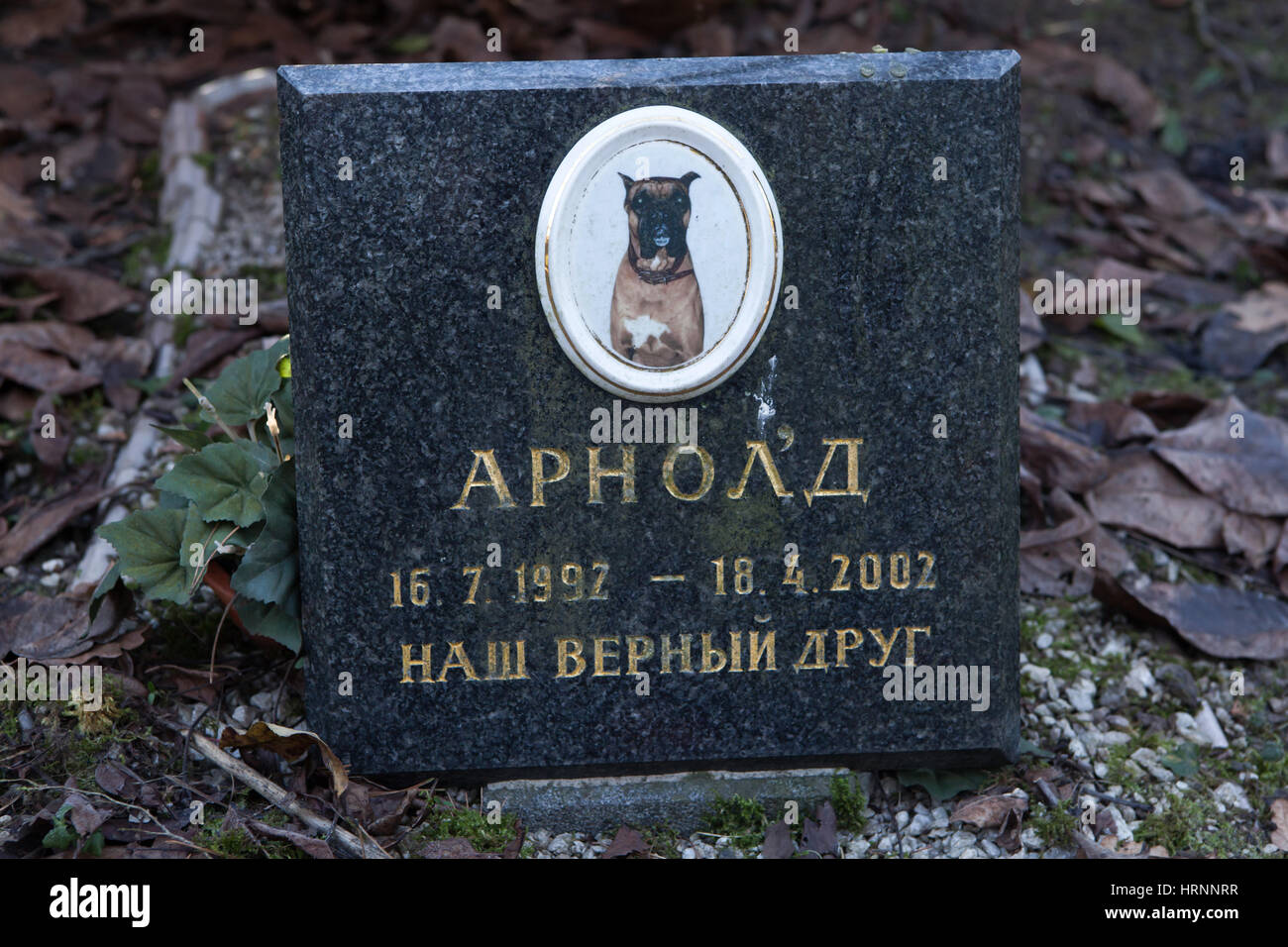 Abandoned pet cemetery in Prague, Czech Republic. The only pet cemetery in Prague located in the removed district of Bohnice is abandoned for more then ten years. The last burial was hold here before January 2007 when new burials were banned by local authorities due the unclear property rights for the land. Inscription in Russian on the boxer dog's grave means: Arnold (1992-2002). Our true friend. Stock Photo